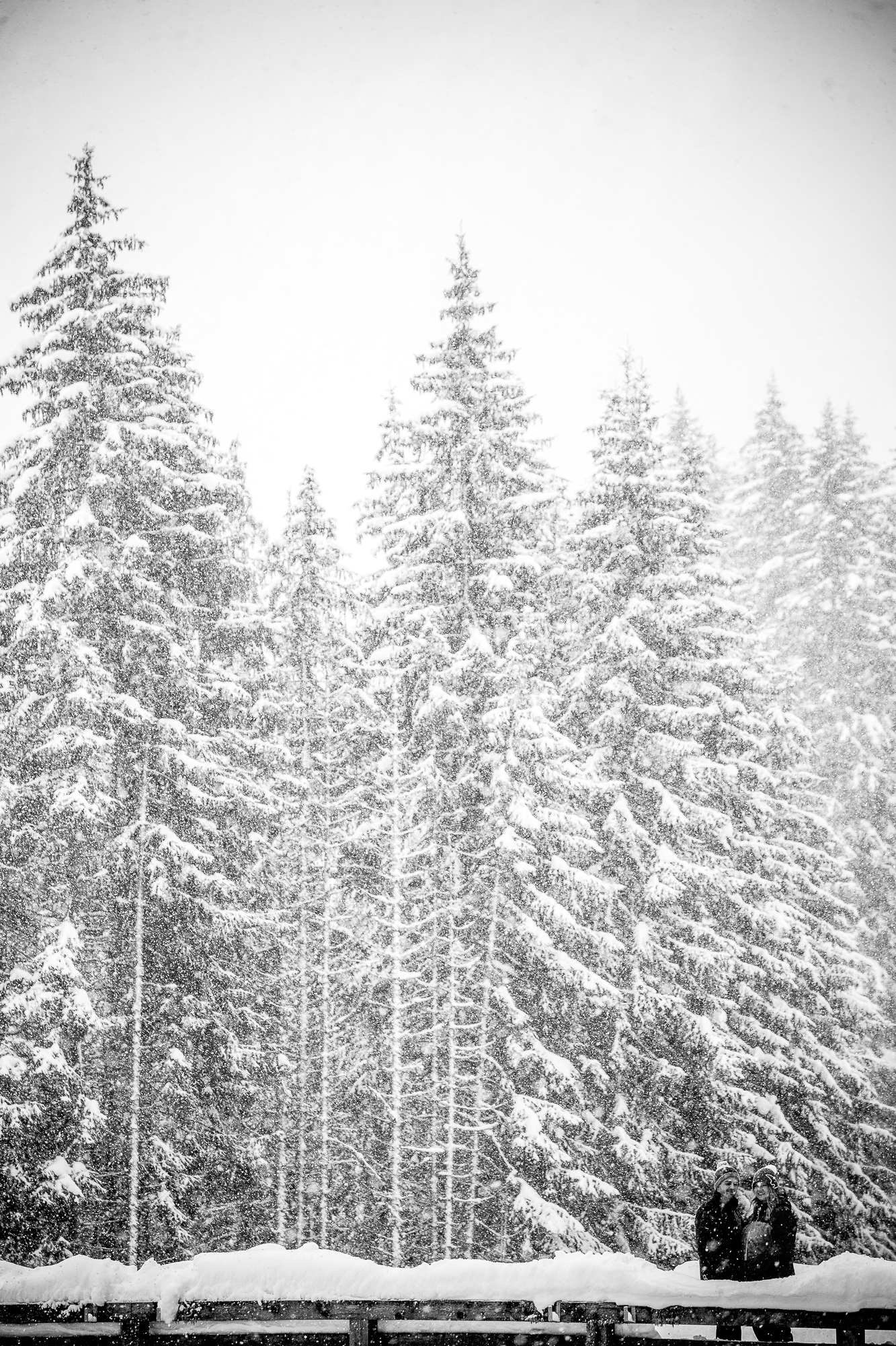 Export x3 1DX29450 Verlobungsfotoshooting 2018 Anna & Dominik 4